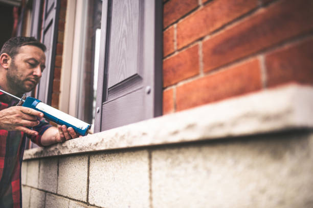 Best Cellulose Insulation  in Panora, IA