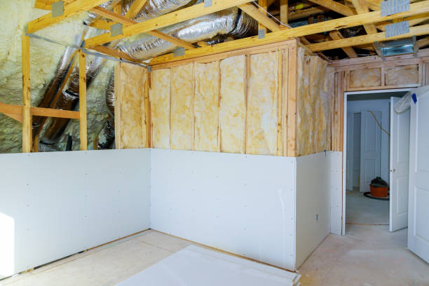 Best Wall Insulation Contractor  in Panora, IA