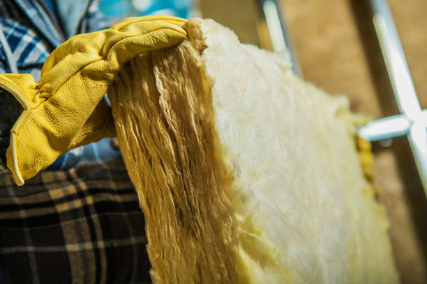 Best Insulation Inspection Services  in Panora, IA