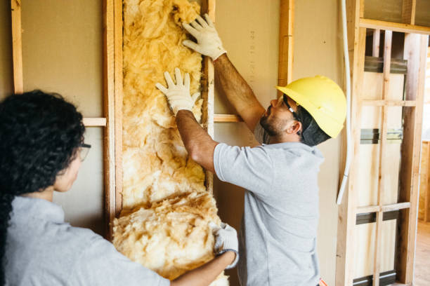 Best Best Insulation Companies  in Panora, IA