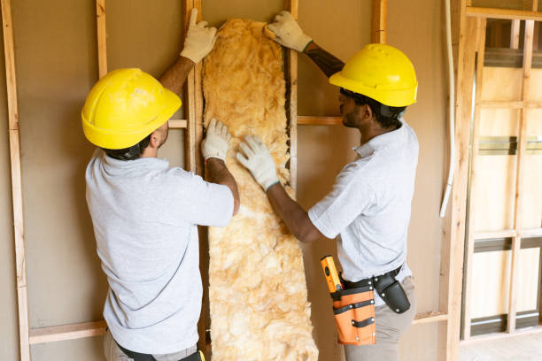 Best Insulation Inspection Services  in Panora, IA