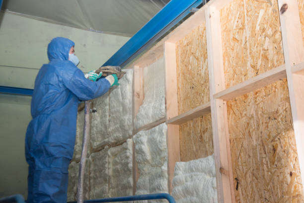 Best Professional Insulation Contractor  in Panora, IA