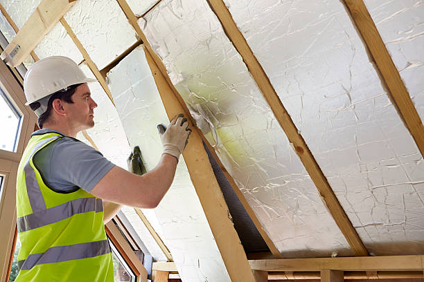 Best Spray Foam Insulation  in Panora, IA
