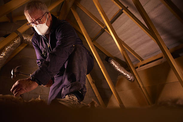 Best Insulation Replacement Services  in Panora, IA