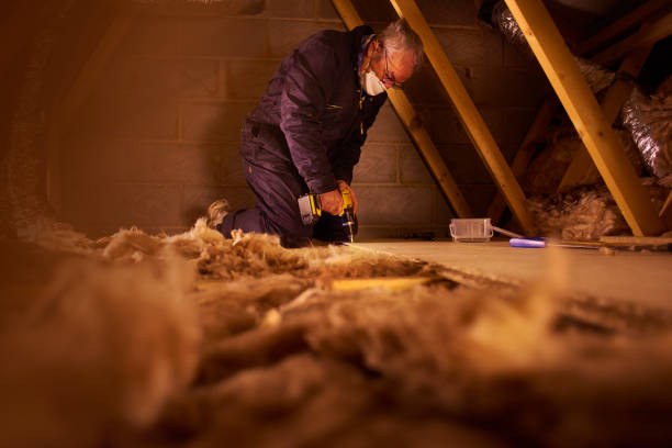 Trusted Panora, IA Insulation Contractor Experts